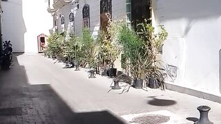 Tangier civilization