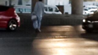 Nonsense person cross highway#febspot#viral
