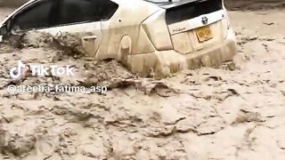 Nice video 216