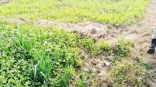 Effect of greenery