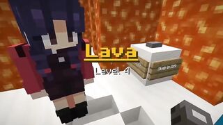 Minecraft 49