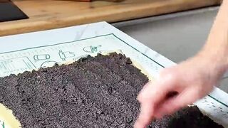 Маковый рулет