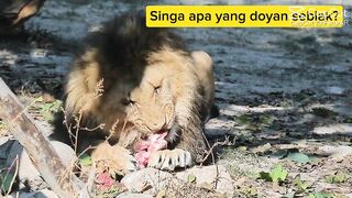 I am hungry, guys!