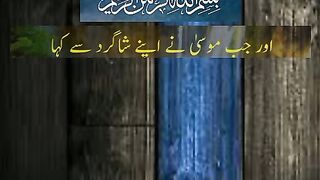 القرآن 43