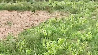 Land for sale at an attractive price