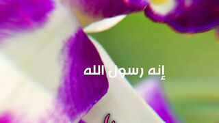 Quran Al Kareem 64