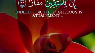 Quran Surah 48