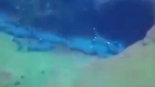 Penyelam bertemu ikan