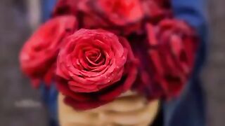 Sign up for your $10 Newcomer Bonus! I made over $200 watching the video here, so you can give it a try.