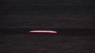 Nasty Nuisance: The Hookworm Explained