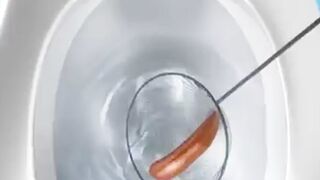 Healthy Poop Power: How Transplants Treat Gut Issues