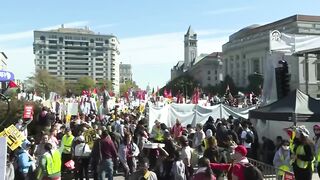 USA - Demonstration in support of Palestine in US