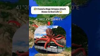 Octopus Attack House In Real Life Found On Google Earth