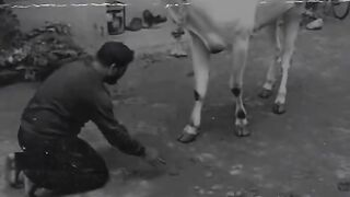 Human turned away from the right path that was created by him