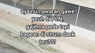 ayam broiler || kata kata lucu 509