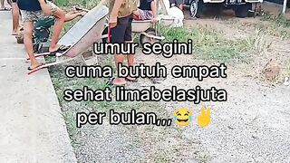 ayam broiler || kata kata lucu 510