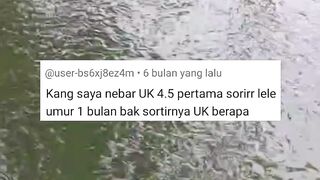 Kalau ada pertanyaan begini kira-kira jawaban yang pas gmn ya ???? sementara ikan lele itu misterius