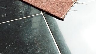 Dua sejoli terciduk di siang bolong????