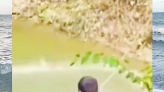 Funny Monent Part 21