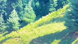 Naran Valley Road Open Now #naran #narankaghan #naranvalley #kpk #pakistan #vlog #viralvideo #travel