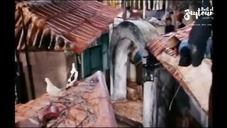 الجزء السادس عشر من فلم بياع الخواتم فيروز و نصري 