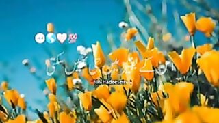 Razzaq5-Beautiful video - Wafadar kon hai???? _Islamic what's app stetus__144p.
