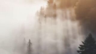 Morning Magic: Kickstart Your Day