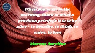 famous quotes about love | Part 230