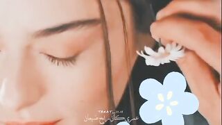 حالات واتس اب 3