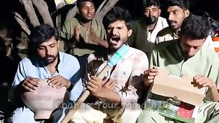 funny and Comedy Video 7