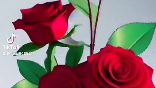 Transisi photo shoot video