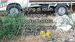 ayam broiler || kata kata lucu 512