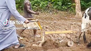 L' humidité de l' Homme