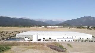 30,000 Square Meters Of Real Flowers All Year Round! Flower Production Plant