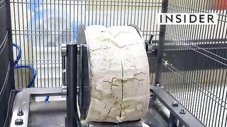 How Italian Gorgonzola Cheese Is Made  Regional Eats  Food Insider