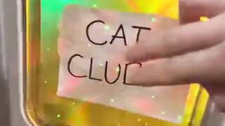 cat club