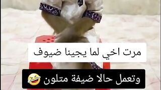 ضحك 3
