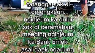 ayam broiler || kata kata lucu 513