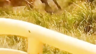 القوي والصراع