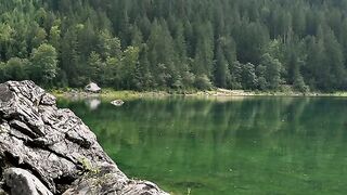 La nature 5