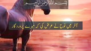 القران 8