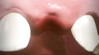 From Tiny to Mighty: How Your  Teeth Erupt
