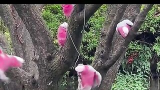 کچھ وقت ساتھ دے کر اس نے