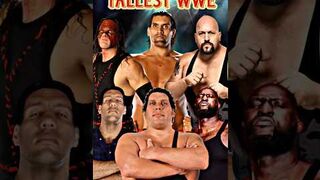 Top 10 Tallest WWE Wrestlers