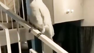 Культурный )