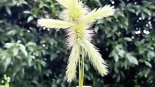 EASY CRAFT IDEAS - School Craft Idea- DIY Craft- School hacks- Origami craft- #100 #shorts