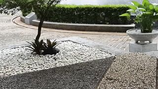 Water fountain 3