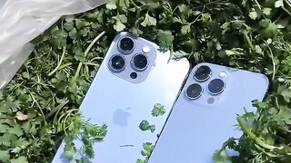 IPHONE pro max
