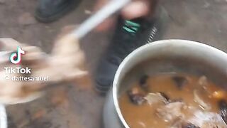 La nourriture du champ