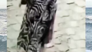 Funny Moment Part 29